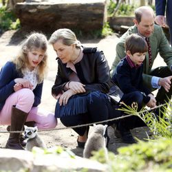 Los Condes de Wessex con sus hijos Louise y James en el zoo de Bristol