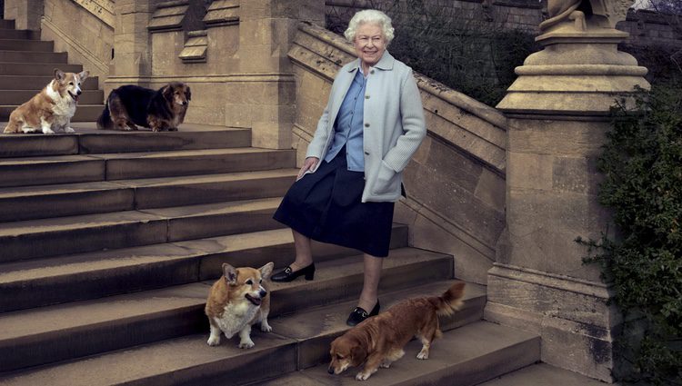 La Reina Isabel II con sus perros en su 90 cumpleaños