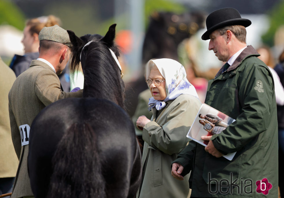 La Reina Isabel II de Inglaterra en el Royal Windsor Horse Show 2016