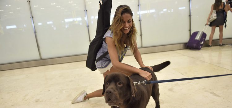 Lara Álvarez con su perro Choco a su vuelta a España tras 'Supervivientes 2016'