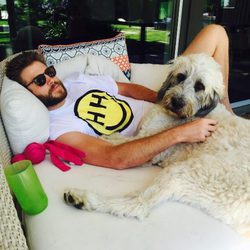 Liam Hemsworth se relaja junto a su perrita Dora