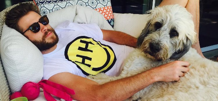 Liam Hemsworth se relaja junto a su perrita Dora