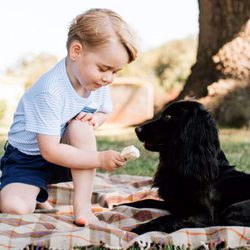 El Príncipe Jorge de Cambridge dando helado a su perro en su tercer cumpleaños