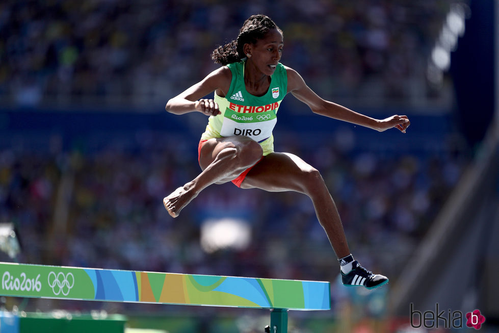 Etenesh Diro saltando un obstáculo de los 3000 metros en los Juegos Olímpicos de Río 2016